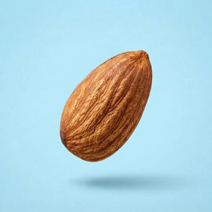 Almond - American, Large